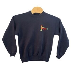 Vintage Santee Sweats Ireland Embroidered Navy Crewneck Sweatshirt Mens M USA